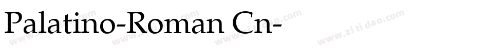 Palatino-Roman Cn字体转换